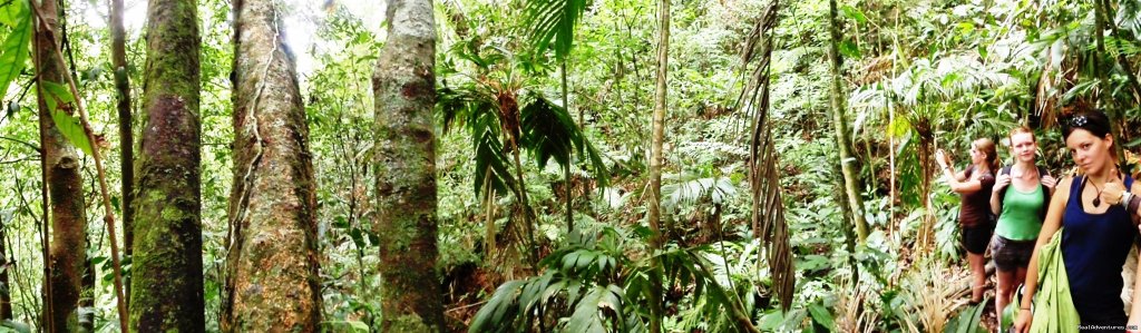 Hiking through the cloud forest  | Top 10 things to do at Cusuco National Park  | Image #8/8 | 