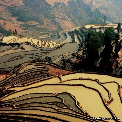 South of Yunnan to North Vietnam 11 days overland  | Dali, China | Sight-Seeing Tours | Image #1/7 | 
