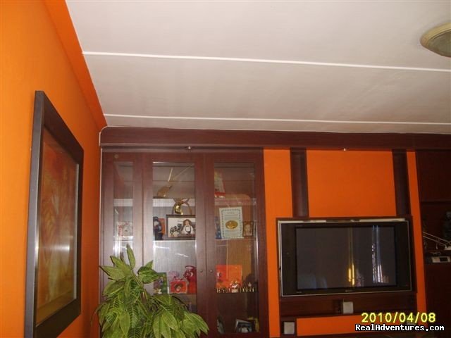 lounge with dstv | House To Rent World Cup 2010 | Image #5/6 | 