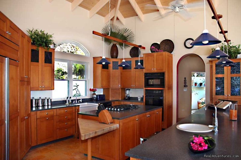 The incredible, state of the art kitchen | Gorgeous, Ultra-Private Oceanside Villa | Image #8/21 | 