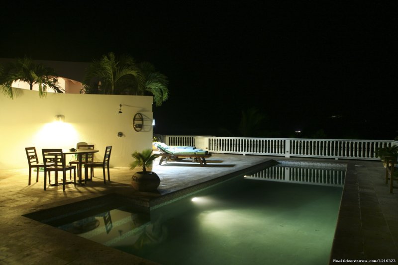 Private Pool at Night | Gorgeous, Ultra-Private Oceanside Villa | Image #21/21 | 