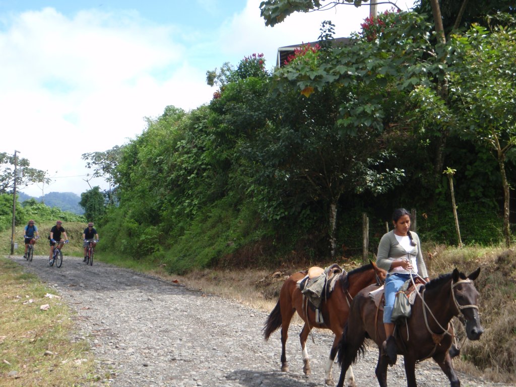 Multi-Sport & Adventure Travel Trips in Costa Rica | Image #16/19 | 