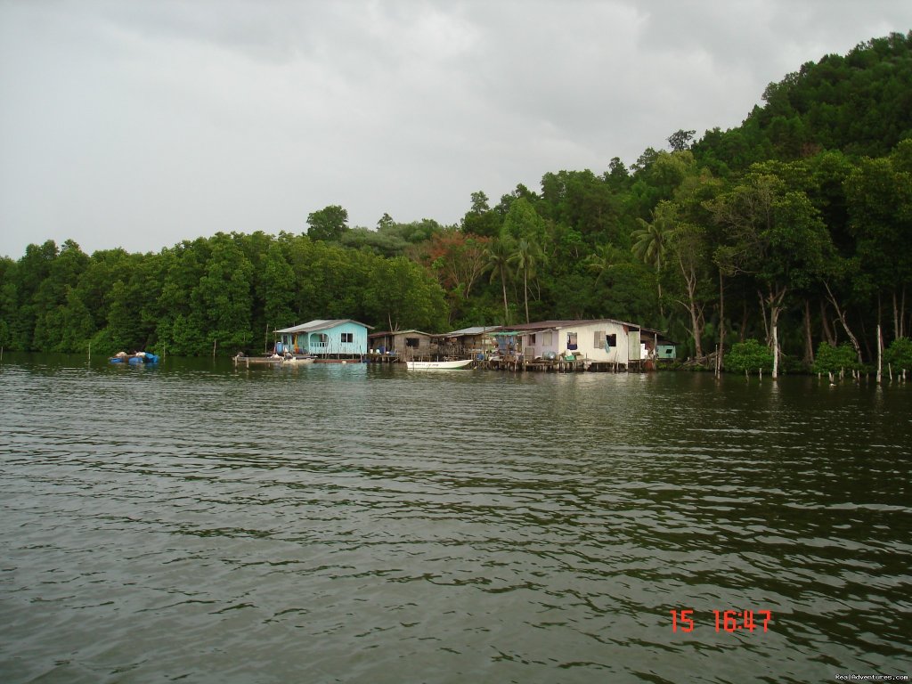 Mangroves Surrounding the Villages | Mengkabong Water Village Mangrove River Cruise | Image #8/8 | 