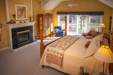 Cozy mountain view room with fireplace