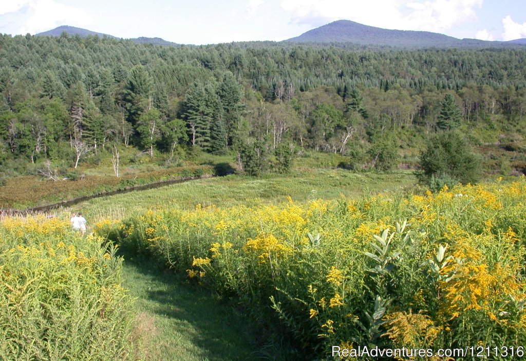 Our walking trail. | Wonderful Views at Marshfield Inn & Motel | Marshfield, Vermont  | Bed & Breakfasts | Image #1/4 | 