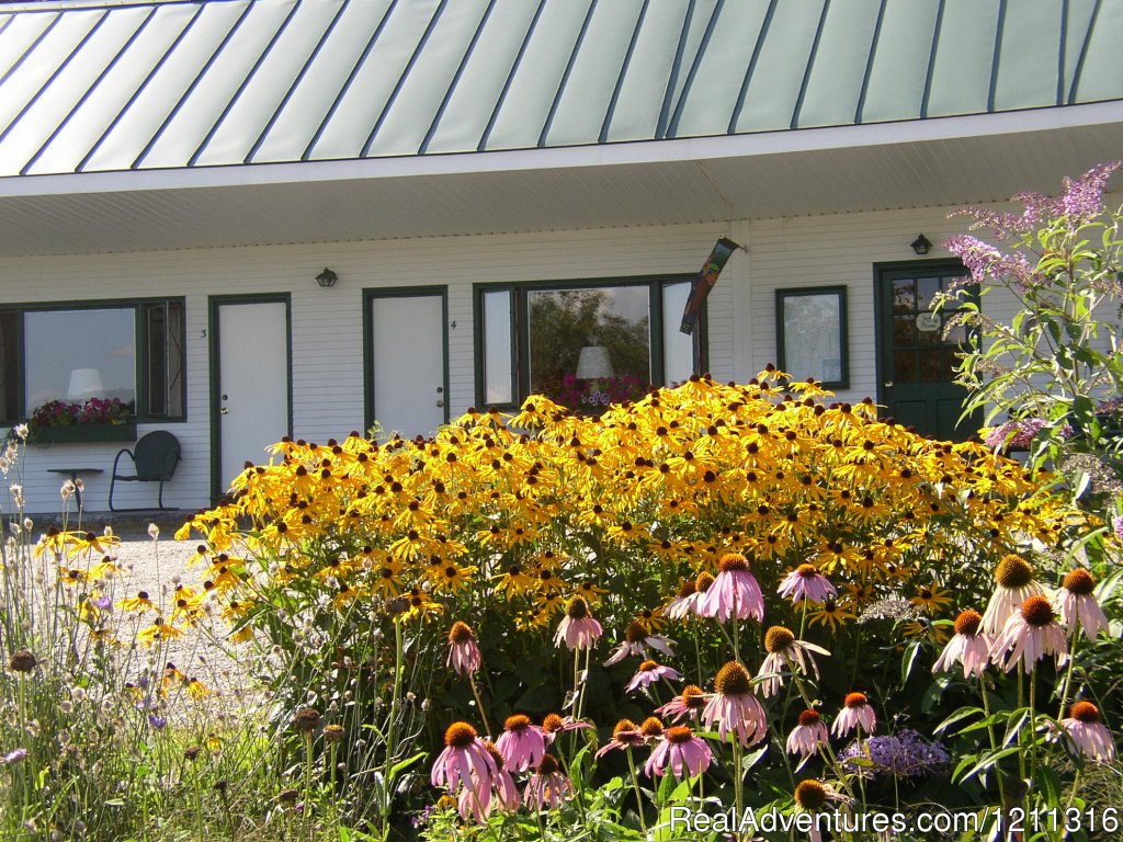 Summer view of motel | Wonderful Views at Marshfield Inn & Motel | Image #3/4 | 