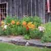 Johnnycake Flats -Country getaway Barn flowers