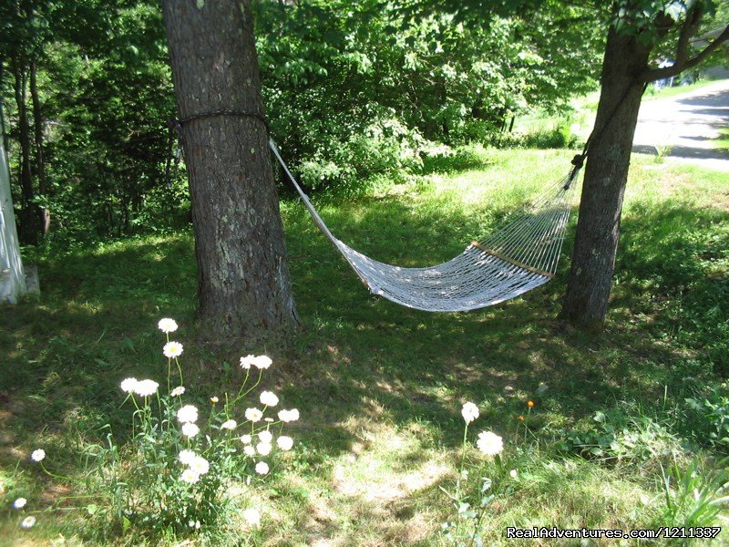 Relaxing hammock | The Woods Lodge, a Great Getaway any size Group | Image #2/6 | 