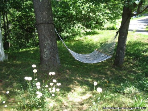 Relaxing hammock