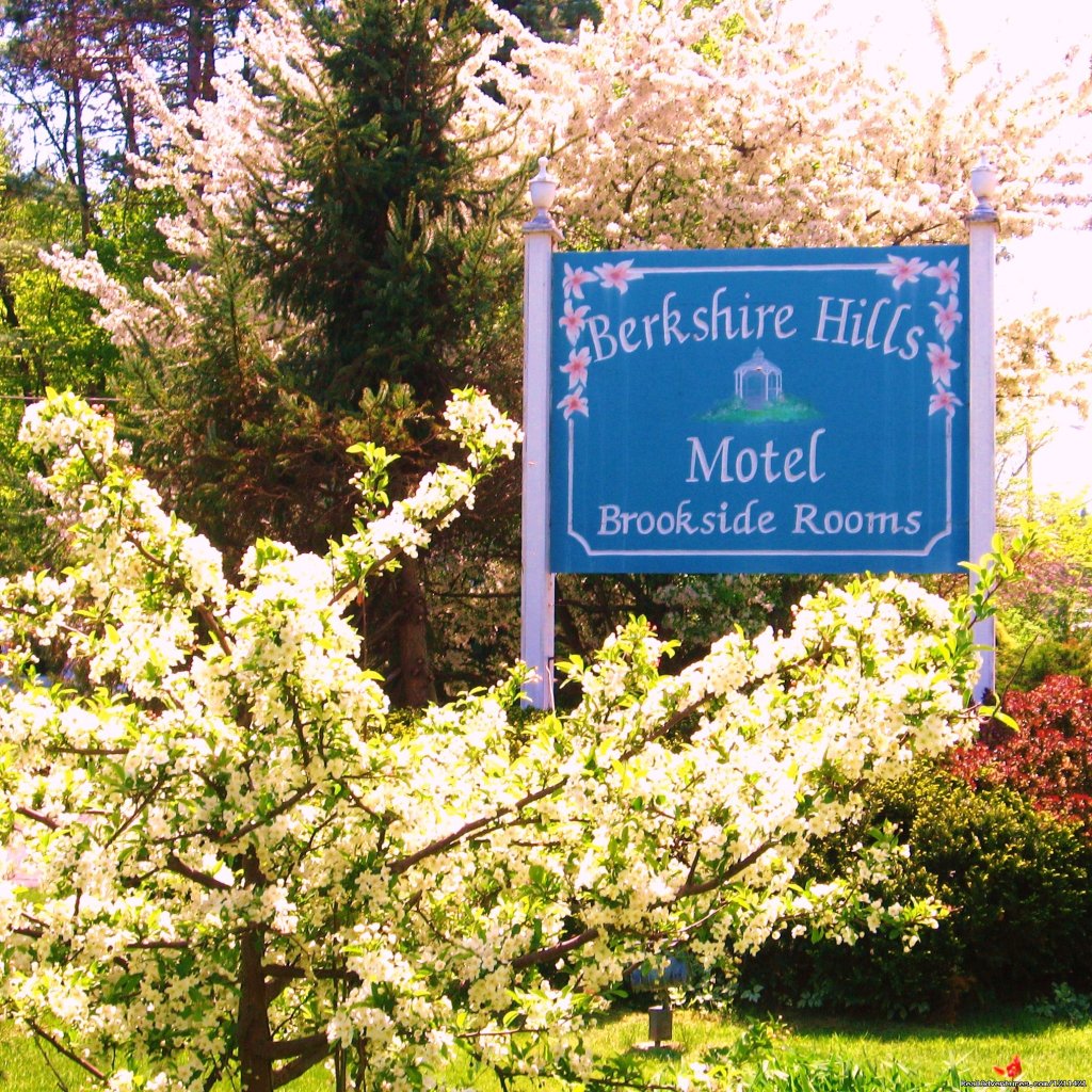 Spring Flowering Trees greet you | Many Adventurous Options at Berkshire Hills Motel | Image #4/8 | 