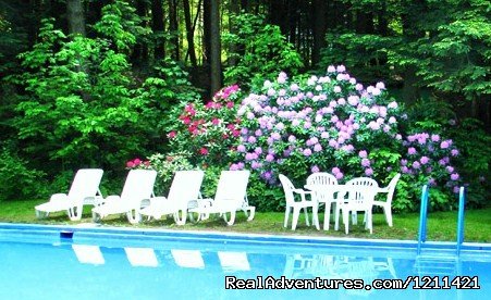 Our secluded pool | Many Adventurous Options at Berkshire Hills Motel | Image #6/8 | 