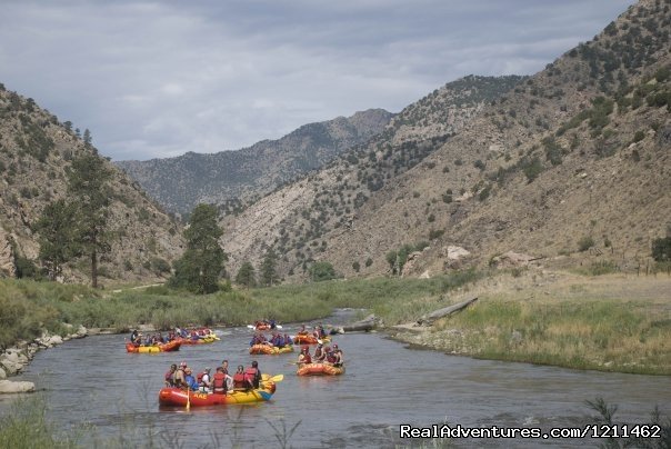 Big Horn Sheep Canyon | American Adventures Whitewater Rafting | Image #3/4 | 