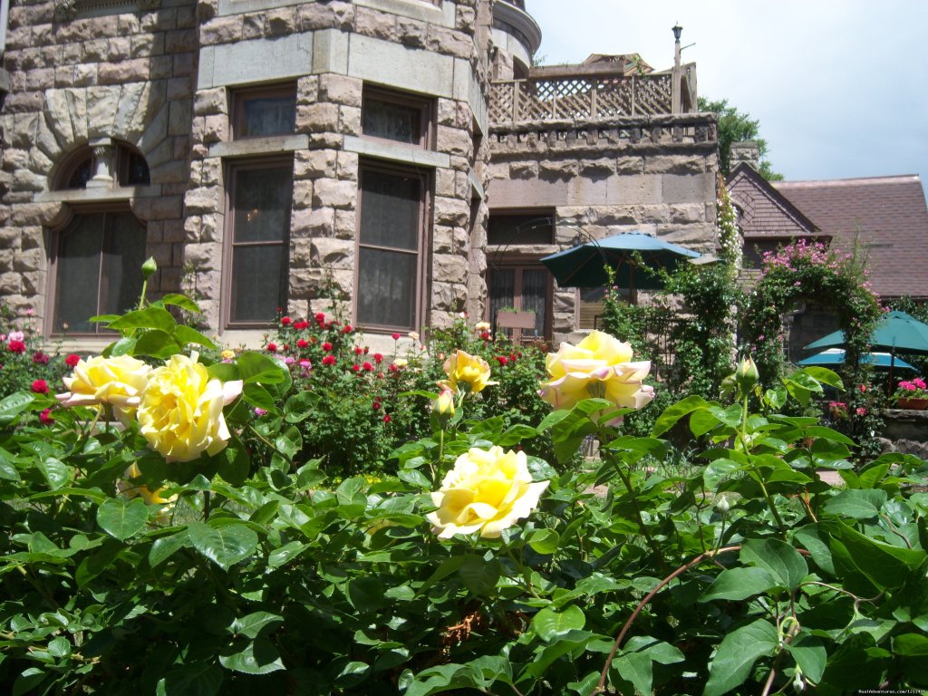 The Castle's Gardens | Historic Victorian Castle Marne Bed & Breakfast | Image #6/15 | 