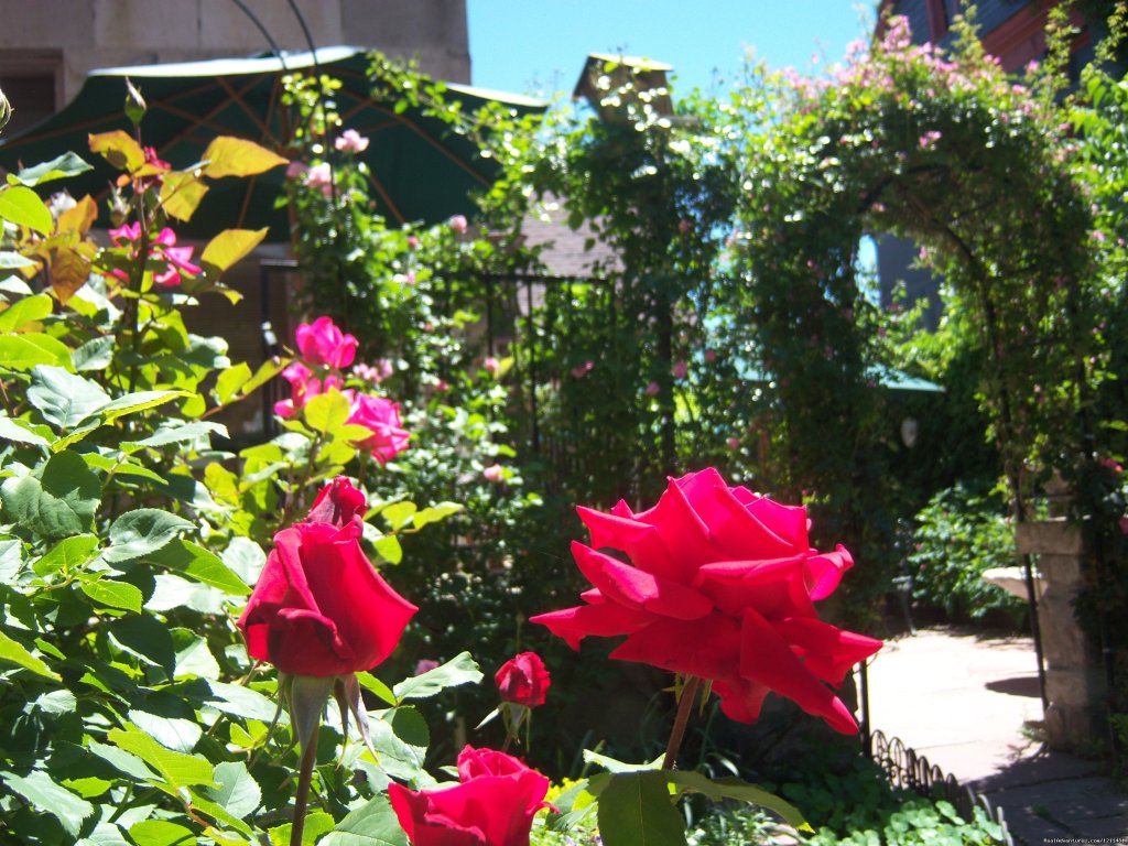 Roses | Historic Victorian Castle Marne Bed & Breakfast | Image #8/15 | 