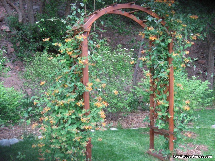 Arbor with Honeysuckle Vines | Stone Mountain Lodge and Cabins | Lyons, Colorado  | Hotels & Resorts | Image #1/5 | 
