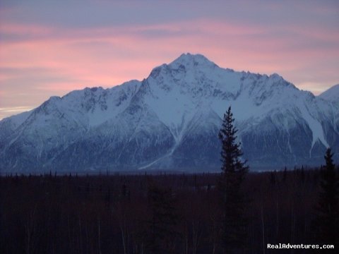 Image #4/21 | Alaska's Harvest Bed & Breakfast