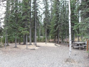Tok RV Village, Inc. | Tok, Alaska Campgrounds & RV Parks | Accommodations South Central, Alaska