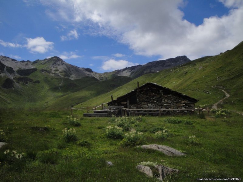 Alpine farm | Guided Treks In The Swiss Alps | Image #9/9 | 