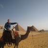 Tours in Cairo - Egypt ( perfect trips ) ... pyramids at giza ..