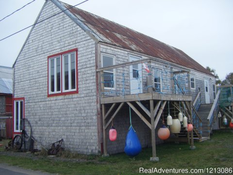 Image #6/6 | Seal Cove Beach Smokeshed cottages
