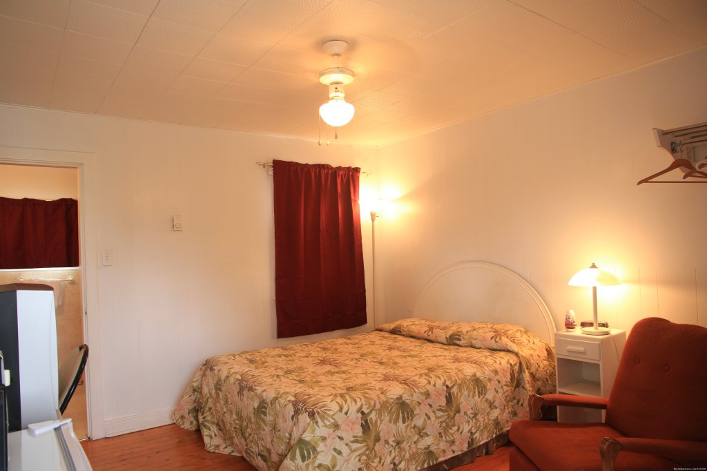 Room with Queen size Bed | Regent Motel | Image #6/9 | 