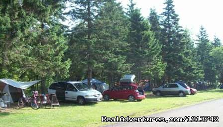 Tent sites. | Camper's City/ RV Resort/ Killam Prop. Inc. | Image #2/5 | 