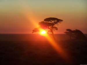 Bluecrane Safaris Namibia