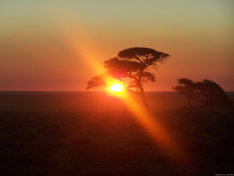 Sunset in Etosha National Park | Bluecrane Safaris Namibia | Windhoek, Namibia | Wildlife & Safari Tours | Image #1/14 | 