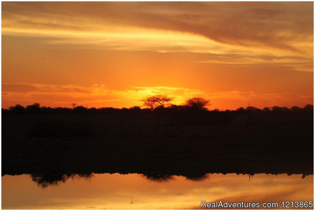 Bluecrane Safaris Namibia | Image #8/14 | 