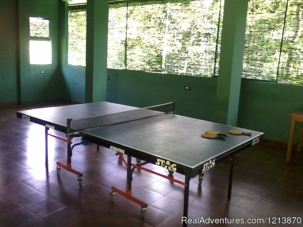 Indoor Play Area | Orchard Holiday Resort | Image #2/9 | 