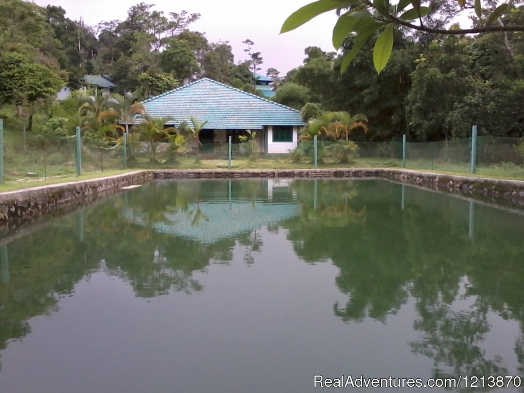 Natural Pool | Orchard Holiday Resort | Image #3/9 | 