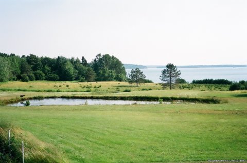 Pond with Bay in background