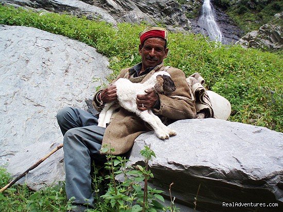 local Gaddi shepherd | Himalayan nature resort at Eagles Nest India | Image #18/19 | 