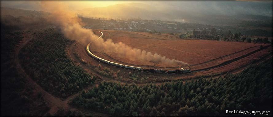 Passing the Vineyards in Cape Town | Luxury Family Steam Train Safari | Image #4/11 | 