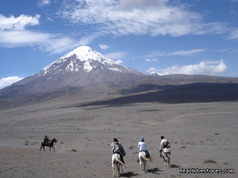 High Altitude Horseback Riding 