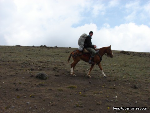 High Altitude Horseback Riding 