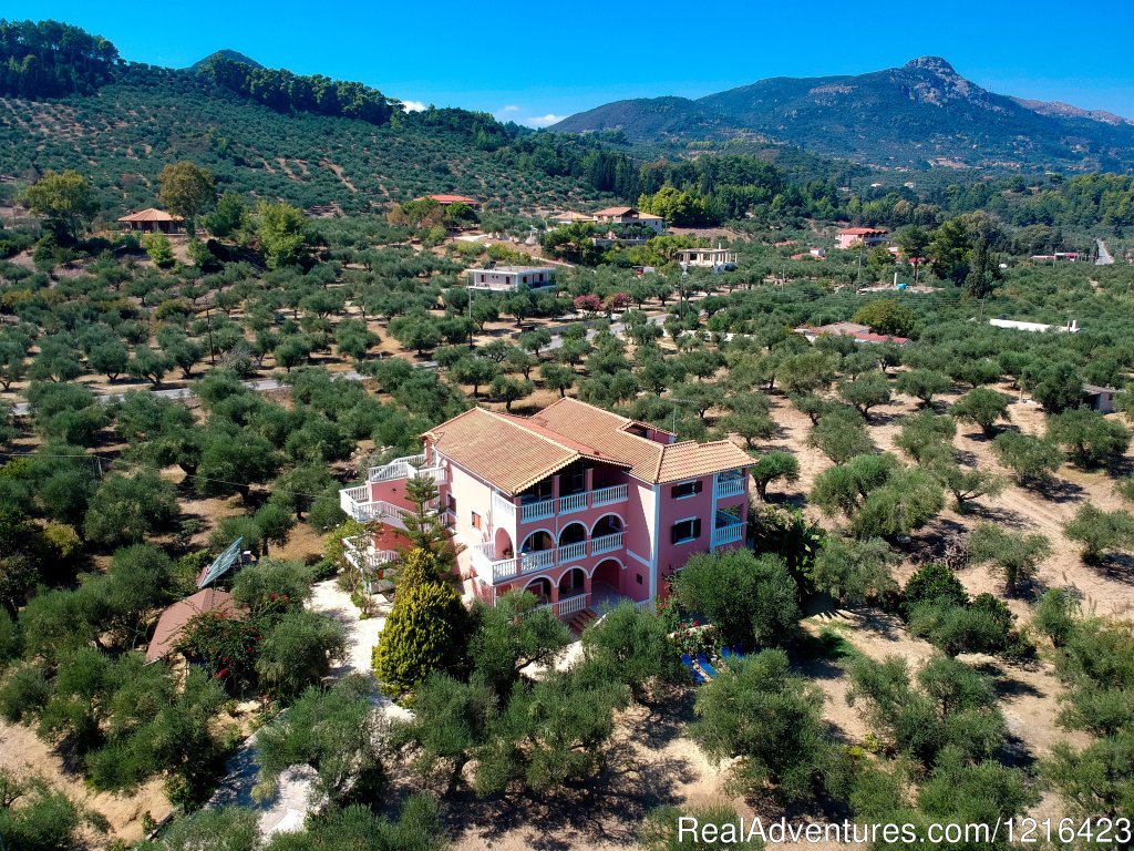 Ideally located in a small village of Vassilikos | Zakynthos Holidays/Arazzo Villa rental | Image #2/14 | 