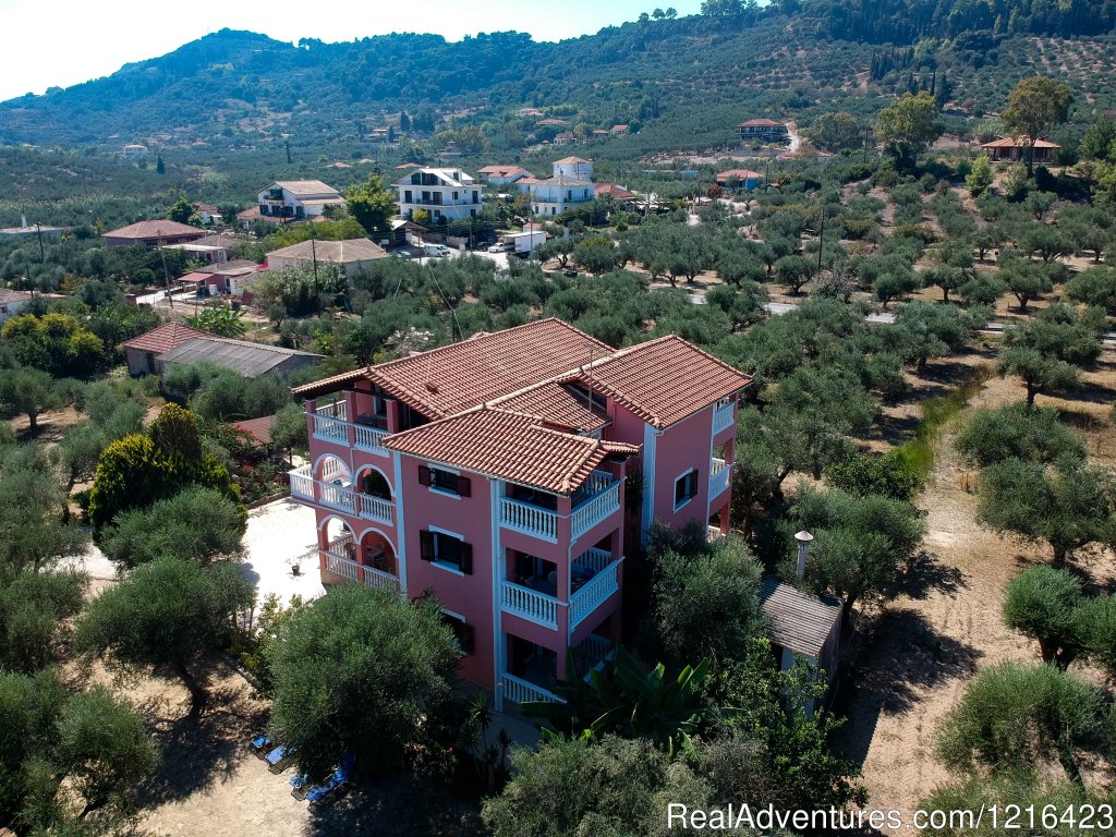 Welcome to Arazzo holiday Apartments. | Zakynthos Holidays/Arazzo Villa rental | Image #3/14 | 