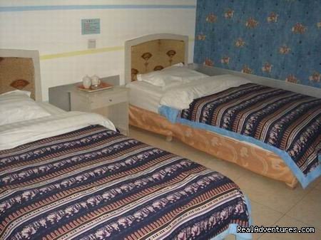 the Private Twin Bed Room 