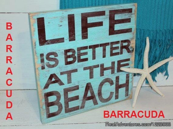 Barracuda camp, bungalows on the beach, | Image #14/19 | 