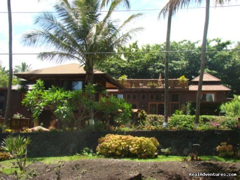  Unwind at this Oceanfront  Romantic 2 story Private Balinese Guest House, surrounded in the natural ambiance of Kehena Beach Estates.  This Jewel of the Big Island of Hawaii is tucked alongside the South East Puna coastline. 
