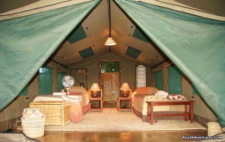 Luxury Safari Tent - Flatdogs, South Luangwa | Malawian Style - Safari, Mountain, Lake Adventures | Image #5/23 | 