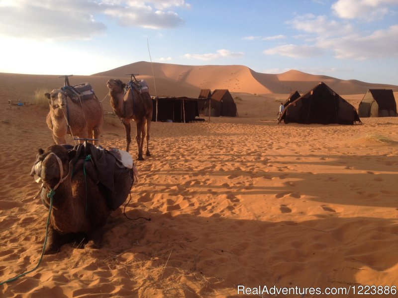 Camel Trek | Chez Youssef Lodge | Image #8/13 | 