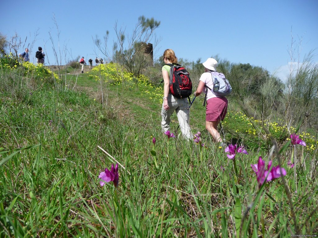 Hiking Holidays in Spain's most beautiful region | Image #7/9 | 