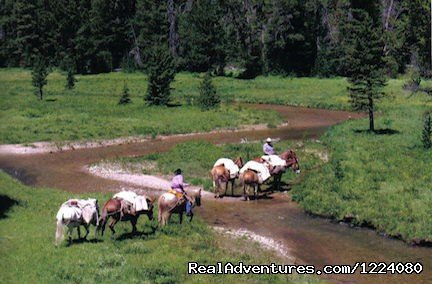 Pack Trips in Wyoming | Western Wyoming Outfitters | Image #2/2 | 