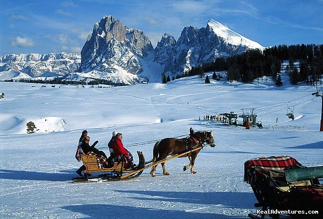 Alpe di Siusi | Abinea Dolomiti Romantic Hotel in Italy | Image #12/12 | 