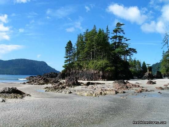 Picturesque Islet on the North Coast Trail | Top 10 Hikes In The World-bc's West Coast Trail | Image #2/8 | 