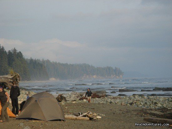 Misty morning on the West Coast Trail | Top 10 Hikes In The World-bc's West Coast Trail | Image #3/8 | 