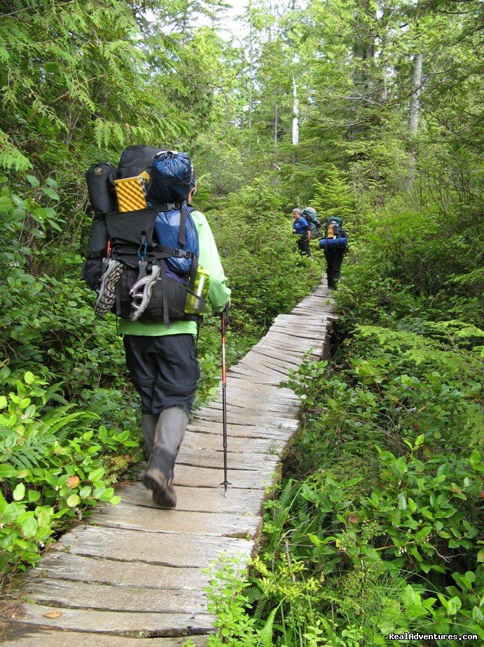 WCT Boardwalk-Slippery When Wet | Top 10 Hikes In The World-bc's West Coast Trail | Image #5/8 | 