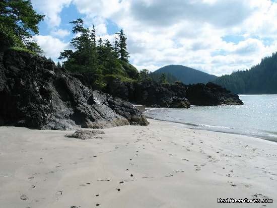North Coast Trail Beach | Top 10 Hikes In The World-bc's West Coast Trail | Image #6/8 | 